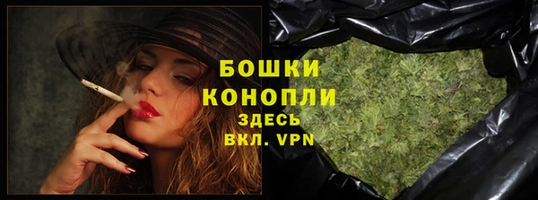 ГАЛЛЮЦИНОГЕННЫЕ ГРИБЫ Горняк