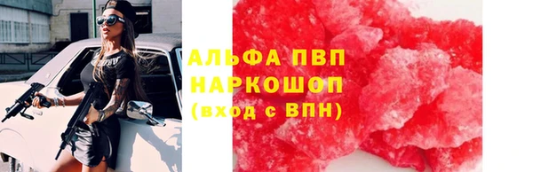 ГАЛЛЮЦИНОГЕННЫЕ ГРИБЫ Горняк