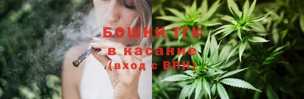 ГАЛЛЮЦИНОГЕННЫЕ ГРИБЫ Горняк