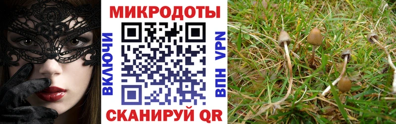 Купить закладки  Острогожск  Псилоцибиновые грибы мицелий 